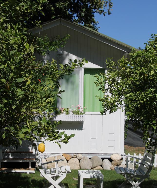 Defne Pension Чирали Номер фото